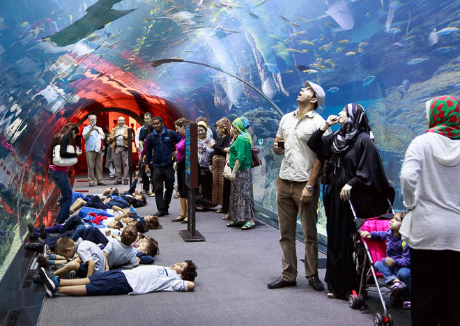 Akvarium i Dubai Mall